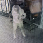 01hollytrees-museum—still-image-2