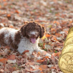 00shutterstock_92932873