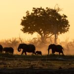 03shutterstock_1731659986