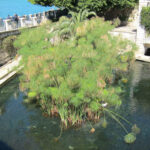 04IMG_4127