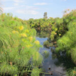 05IMG_4101