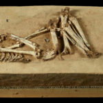 10-hockergrab-rheinbach