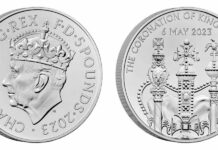 今月の注目コイン(2023年6月)