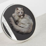 30392_Underlook-Under-Cat_s2nl